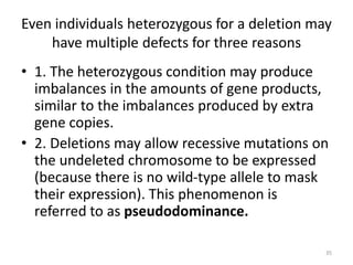 Even individuals heterozygous for a deletion may
have multiple defects for three reasons
• 1. The heterozygous condition may produce
imbalances in the amounts of gene products,
similar to the imbalances produced by extra
gene copies.
• 2. Deletions may allow recessive mutations on
the undeleted chromosome to be expressed
(because there is no wild-type allele to mask
their expression). This phenomenon is
referred to as pseudodominance.
35
 