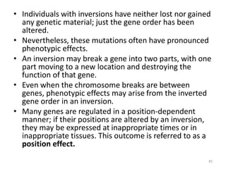 • Individuals with inversions have neither lost nor gained
any genetic material; just the gene order has been
altered.
• Nevertheless, these mutations often have pronounced
phenotypic effects.
• An inversion may break a gene into two parts, with one
part moving to a new location and destroying the
function of that gene.
• Even when the chromosome breaks are between
genes, phenotypic effects may arise from the inverted
gene order in an inversion.
• Many genes are regulated in a position-dependent
manner; if their positions are altered by an inversion,
they may be expressed at inappropriate times or in
inappropriate tissues. This outcome is referred to as a
position effect.
45
 