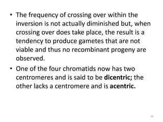 • The frequency of crossing over within the
inversion is not actually diminished but, when
crossing over does take place, the result is a
tendency to produce gametes that are not
viable and thus no recombinant progeny are
observed.
• One of the four chromatids now has two
centromeres and is said to be dicentric; the
other lacks a centromere and is acentric.
48
 
