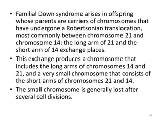• Familial Down syndrome arises in offspring
whose parents are carriers of chromosomes that
have undergone a Robertsonian translocation,
most commonly between chromosome 21 and
chromosome 14: the long arm of 21 and the
short arm of 14 exchange places.
• This exchange produces a chromosome that
includes the long arms of chromosomes 14 and
21, and a very small chromosome that consists of
the short arms of chromosomes 21 and 14.
• The small chromosome is generally lost after
several cell divisions.
84
 