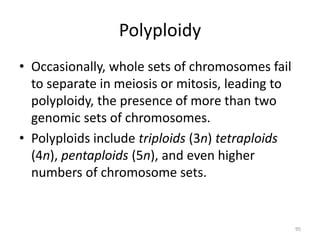 Polyploidy
• Occasionally, whole sets of chromosomes fail
to separate in meiosis or mitosis, leading to
polyploidy, the presence of more than two
genomic sets of chromosomes.
• Polyploids include triploids (3n) tetraploids
(4n), pentaploids (5n), and even higher
numbers of chromosome sets.
95
 