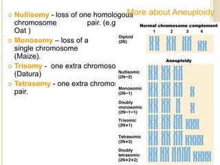 Chromosome | PPTX