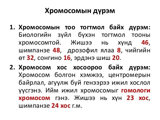 Chromosome