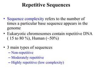 • Sequence complexity refers to the number of
times a particular base sequence appears in the
genome
• Eukaryotic chromosomes contain repetitive DNA
( 15 to 80 %), Human (~50%)
• 3 main types of sequences
– Non-repetitive
– Moderately repetitive
– Highly repetitive (low complexity)
Repetitive Sequences
 