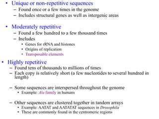 • Unique or non-repetitive sequences
– Found once or a few times in the genome
– Includes structural genes as well as intergenic areas
• Moderately repetitive
– Found a few hundred to a few thousand times
– Includes
• Genes for rRNA and histones
• Origins of replication
• Transposable elements
• Highly repetitive
– Found tens of thousands to millions of times
– Each copy is relatively short (a few nucleotides to several hundred in
length)
– Some sequences are interspersed throughout the genome
• Example: Alu family in humans
– Other sequences are clustered together in tandem arrays
• Example: AATAT and AATATAT sequences in Drosophila
• These are commonly found in the centromeric regions
 