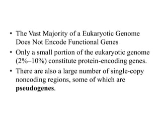 • The Vast Majority of a Eukaryotic Genome
Does Not Encode Functional Genes
• Only a small portion of the eukaryotic genome
(2%–10%) constitute protein-encoding genes.
• There are also a large number of single-copy
noncoding regions, some of which are
pseudogenes.
 