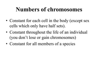 Numbers of chromosomes
• Constant for each cell in the body (except sex
cells which only have half sets).
• Constant throughout the life of an individual
(you don’t lose or gain chromosomes)
• Constant for all members of a species
 