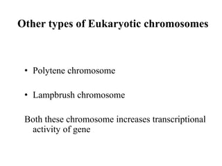 Other types of Eukaryotic chromosomes
• Polytene chromosome
• Lampbrush chromosome
Both these chromosome increases transcriptional
activity of gene
 