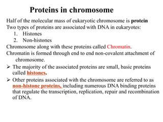 Half of the molecular mass of eukaryotic chromosome is protein
Two types of proteins are associated with DNA in eukaryotes:
1. Histones
2. Non-histones
Chromosome along with these proteins called Chromatin.
Chromatin is formed through end to end non-covalent attachment of
chromosome.
 The majority of the associated proteins are small, basic proteins
called histones.
 Other proteins associated with the chromosome are referred to as
non-histone proteins, including numerous DNA binding proteins
that regulate the transcription, replication, repair and recombination
of DNA.
Proteins in chromosome
 
