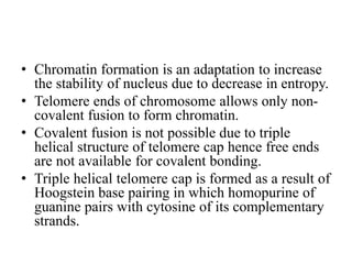 • Chromatin formation is an adaptation to increase
the stability of nucleus due to decrease in entropy.
• Telomere ends of chromosome allows only non-
covalent fusion to form chromatin.
• Covalent fusion is not possible due to triple
helical structure of telomere cap hence free ends
are not available for covalent bonding.
• Triple helical telomere cap is formed as a result of
Hoogstein base pairing in which homopurine of
guanine pairs with cytosine of its complementary
strands.
 