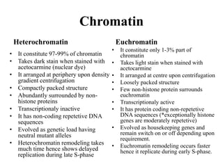 Chromatin
Heterochromatin
• It constitute 97-99% of chromatin
• Takes dark stain when stained with
acetocarmine (nuclear dye)
• It arranged at periphery upon density
gradient centrifugation
• Compactly packed structure
• Abundantly surrounded by non-
histone proteins
• Transcriptionaly inactive
• It has non-coding repetetive DNA
sequences
• Evolved as genetic load having
neutral mutant alleles
• Heterochromatin remodeling takes
much time hence shows delayed
replication during late S-phase
Euchromatin
• It constitute only 1-3% part of
chromatin
• Takes light stain when stained with
acetocarmine
• It arranged at centre upon centrifugation
• Loosely packed structure
• Few non-histone protein surrounds
euchromatin
• Transcriptionaly active
• It has protein coding non-repetetive
DNA sequences (*exceptionally histone
genes are moderately repetetive)
• Evolved as housekeeping genes and
remain switch on or off depending upon
requirement.
• Euchromatin remodeling occurs faster
hence it replicate during early S-phase.
 