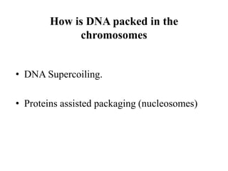 How is DNA packed in the
chromosomes
• DNA Supercoiling.
• Proteins assisted packaging (nucleosomes)
 