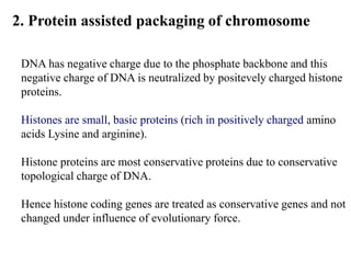 DNA has negative charge due to the phosphate backbone and this
negative charge of DNA is neutralized by positevely charged histone
proteins.
Histones are small, basic proteins (rich in positively charged amino
acids Lysine and arginine).
Histone proteins are most conservative proteins due to conservative
topological charge of DNA.
Hence histone coding genes are treated as conservative genes and not
changed under influence of evolutionary force.
2. Protein assisted packaging of chromosome
 