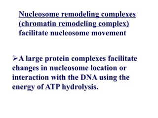 Nucleosome remodeling complexes
(chromatin remodeling complex)
facilitate nucleosome movement
A large protein complexes facilitate
changes in nucleosome location or
interaction with the DNA using the
energy of ATP hydrolysis.
 