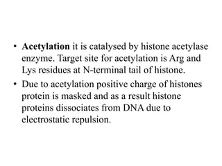 • Acetylation it is catalysed by histone acetylase
enzyme. Target site for acetylation is Arg and
Lys residues at N-terminal tail of histone.
• Due to acetylation positive charge of histones
protein is masked and as a result histone
proteins dissociates from DNA due to
electrostatic repulsion.
 