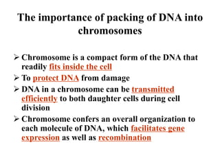 The importance of packing of DNA into
chromosomes
 Chromosome is a compact form of the DNA that
readily fits inside the cell
 To protect DNA from damage
 DNA in a chromosome can be transmitted
efficiently to both daughter cells during cell
division
 Chromosome confers an overall organization to
each molecule of DNA, which facilitates gene
expression as well as recombination
 