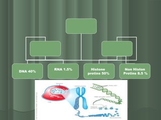 DNA 40%
RNA 1.5% Histone
protins 50%
Non Histon
Protins 8.5 %
 
