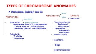 Chromosome