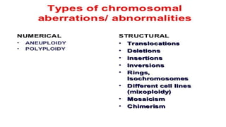 Chromosome