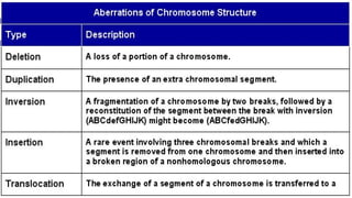 Chromosome