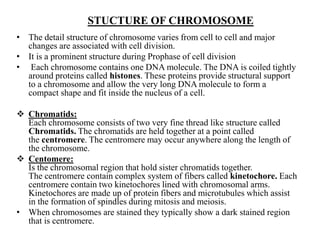 STUCTURE OF CHROMOSOME
• The detail structure of chromosome varies from cell to cell and major
changes are associated with cell division.
• It is a prominent structure during Prophase of cell division
• Each chromosome contains one DNA molecule. The DNA is coiled tightly
around proteins called histones. These proteins provide structural support
to a chromosome and allow the very long DNA molecule to form a
compact shape and fit inside the nucleus of a cell.
 Chromatids:
Each chromosome consists of two very fine thread like structure called
Chromatids. The chromatids are held together at a point called
the centromere. The centromere may occur anywhere along the length of
the chromosome.
 Centomere:
Is the chromosomal region that hold sister chromatids together.
The centromere contain complex system of fibers called kinetochore. Each
centromere contain two kinetochores lined with chromosomal arms.
Kinetochores are made up of protein fibers and microtubules which assist
in the formation of spindles during mitosis and meiosis.
• When chromosomes are stained they typically show a dark stained region
that is centromere.
 