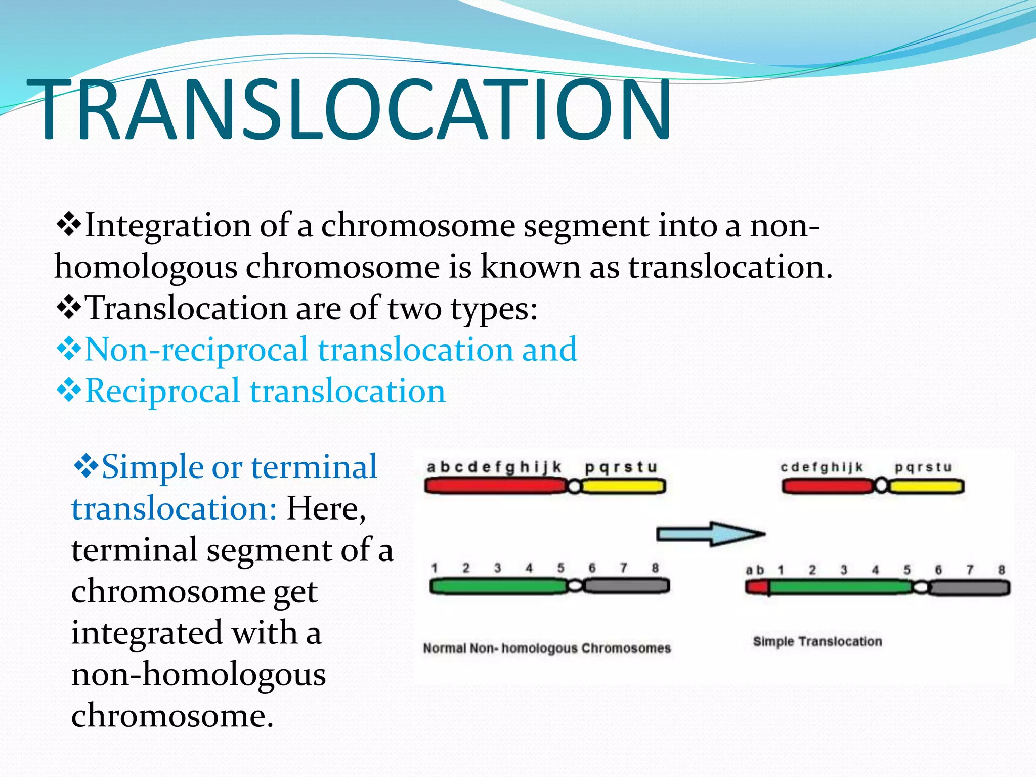 TRANSLOCATION
Integration of a chromosome segment into a non-
homologous chromosome is known as translocation.
Translocation are of two types:
Non-reciprocal translocation and
Reciprocal translocation
Simple or terminal
translocation: Here,
terminal segment of a
chromosome get
integrated with a
non-homologous
chromosome.
 