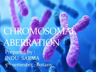 CHROMOSOMAL
ABERRATION
Prepared by :
INDU SARMA
5th semester , Botany
 