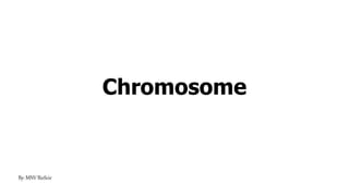 Chromosome
By: MNV BioScie
 