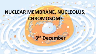 NUCLEAR MEMBRANE, NUCLEOLUS,
CHROMOSOME
3rd December
 