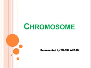 CHROMOSOME
Represented by WASIM AKRAM
 