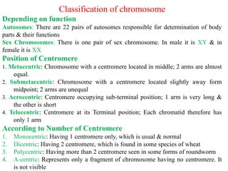 Chromosome structure and function edu.pptx