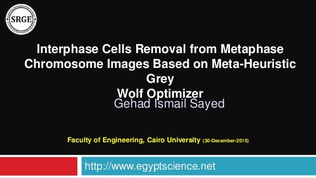 Interphase Cells Removal From Metaphase Chromosome Images Based On Me