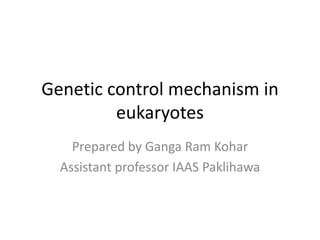 Genetic control mechanism in
eukaryotes
Prepared by Ganga Ram Kohar
Assistant professor IAAS Paklihawa
 
