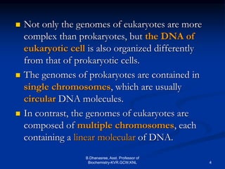 Chromosome2 Ppt