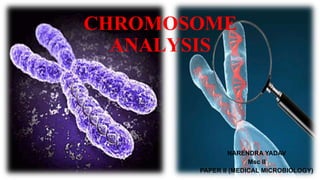 CHROMOSOME
ANALYSIS
NARENDRA YADAV
Msc II
PAPER II (MEDICAL MICROBIOLOGY)
 