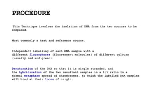 PROCEDURE
This Technique involves the isolation of DNA from the two sources to be
compared.
Most commonly a test and reference source.
Independent labelling of each DNA sample with a
different fluorophores (fluorescent molecules) of different colours
(usually red and green).
Denaturation of the DNA so that it is single stranded, and
the hybridization of the two resultant samples in a 1:1 ratio to a
normal metaphase spread of chromosomes, to which the labelled DNA samples
will bind at their locus of origin.
 