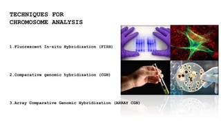TECHNIQUES FOR
CHROMOSOME ANALYSIS
1.Fluorescent In-situ Hybridization (FISH)
2.Comparative genomic hybridization (CGH)
3.Array Comparative Genomic Hybridization (ARRAY CGH)
 