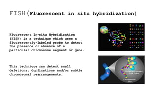 FISH(Fluorescent in situ hybridization)
Fluorescent In-situ Hybridization
(FISH) is a technique which uses a
fluorescently-labeled probe to detect
the presence or absence of a
particular chromosome segment or gene.
This technique can detect small
deletions, duplications and/or subtle
chromosomal rearrangements.
 