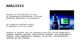 ANALYSIS
Analysis of FISH specimens is done
by fluorescence microscopy by a clinical
laboratory specialist in cytogenetics.
For congenital problems usually
20 metaphase cells are scored.
Examples of diseases that are diagnosed using FISH include Prader-Willi
syndrome, Angelman syndrome, 22q13 deletion syndrome, chronicmyelogenous
leukemia, acute lymphoblastic leukemia, Cri-du-chat, Velocardiofacial
syndrome and Down syndrome.
 