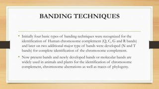 CHROMOSOME BANDING PATTERN_Dr. Sonia.pdf
