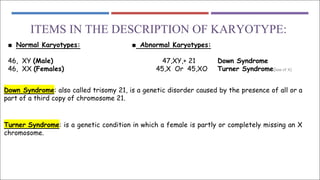 ITEMS IN THE DESCRIPTION OF KARYOTYPE:
■ Normal Karyotypes: ■ Abnormal Karyotypes:
46, XY (Male) 47,XY,+ 21 Down Syndrome
46, XX (Females) 45,X Or 45,XO Turner Syndrome(loss of X)
Down Syndrome: also called trisomy 21, is a genetic disorder caused by the presence of all or a
part of a third copy of chromosome 21.
Turner Syndrome: is a genetic condition in which a female is partly or completely missing an X
chromosome.
 