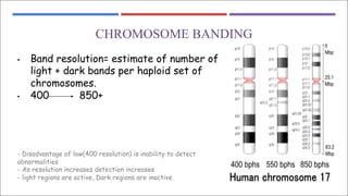 CHROMOSOME BANDING
• Band resolution= estimate of number of
light + dark bands per haploid set of
chromosomes.
• 400 850+
- Disadvantage of low(400 resolution) is inability to detect
abnormalities
- As resolution increases detection increases
- light regions are active, Dark regions are inactive
 