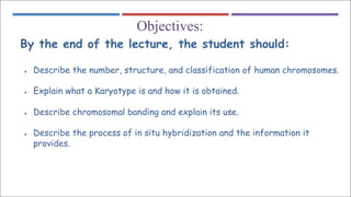 OBJECTIVES:
Objectives:
By the end of the lecture, the student should:
● Describe the number, structure, and classification of human chromosomes.
● Explain what a Karyotype is and how it is obtained.
● Describe chromosomal banding and explain its use.
● Describe the process of in situ hybridization and the information it
provides.
 