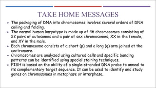 TAKE HOME MESSAGES
➢ The packaging of DNA into chromosomes involves several orders of DNA
coiling and folding.
➢ The normal human karyotype is made up of 46 chromosomes consisting of
22 pairs of autosomes and a pair of sex chromosomes, XX in the female,
and XY in the male.
➢ Each chromosome consists of a short (p) and a long (q) arm joined at the
centromere.
➢ Chromosomes are analyzed using cultured cells and specific banding
patterns can be identified using special staining techniques.
➢ FISH is based on the ability of a single-stranded DNA probe to anneal to
its complementary target sequence. It can be used to identify and study
genes on chromosomes in metaphase or interphase.
 