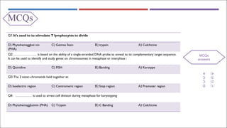 MCQS
Q1:It’s used to to stimulate T lymphocytes to divide
D) Phytohemaggluti nin
(PHA)
C) Geimsa Stain B) trypsin A) Colchicine
Q2:………………… is based on the ability of a single-stranded DNA probe to anneal to its complementary target sequence.
It can be used to identify and study genes on chromosomes in metaphase or interphase :
D) Quinidine C) FISH B) Banding A) Karotype
Q3:The 2 sister-chromatids held together at:
D) Isoelectric region C) Centromeric region B) Stop region A) Promoter region
Q4: …………… is used to arrest cell division during metaphase for karyotyping
D) Phytohemagglutinin (PHA) C) Trypsin B) C Banding A) Colchicine
MCQs
MCQs
answers
1)
D
2)
C
3)
C
4)
A
 