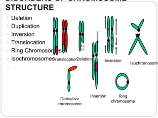 DISORDERS OF CHROMOSOME
STRUCTURE
 Deletion
 Duplication
 Inversion
 Translocation
 Ring Chromosomes
 Isochromosomes

Translocation
Deletion
Insertion
Inversion
Isochromosome
Ring
chromosome
Derivative
chromosome
 