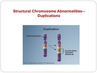 Structural Chromosome Abnormalities--
Duplications
 