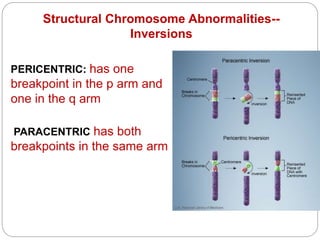 PERICENTRIC: has one
breakpoint in the p arm and
one in the q arm
Structural Chromosome Abnormalities--
Inversions
PARACENTRIC has both
breakpoints in the same arm
 