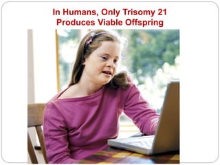In Humans, Only Trisomy 21
Produces Viable Offspring
 