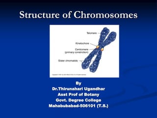 Structure of Chromosomes
By
Dr.Thirunahari Ugandhar
Asst Prof of Botany
Govt. Degree College
Mahabubabad-506101 (T.S.)
 